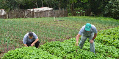 Alerj aprova prorrogação da redução do ICMS sobre insumos agropecuários até 2027