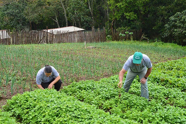 Alerj aprova prorrogação da redução do ICMS sobre insumos agropecuários até 2027