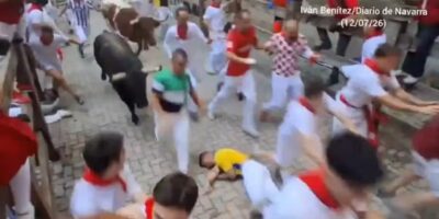 Tem coisa mais idiota que usar animais para diversão humana?